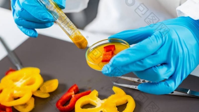 食品招商价格表获取方法